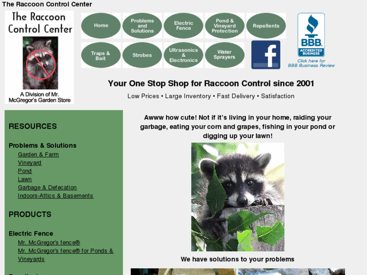 www.raccoon-x.com