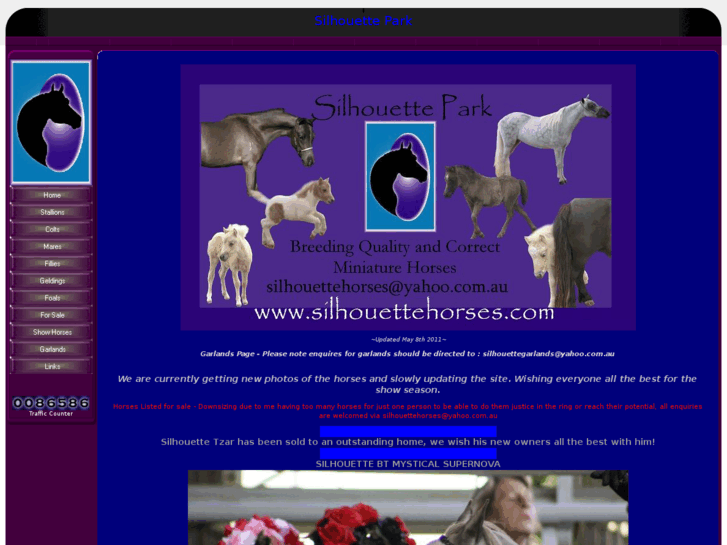 www.silhouettehorses.com