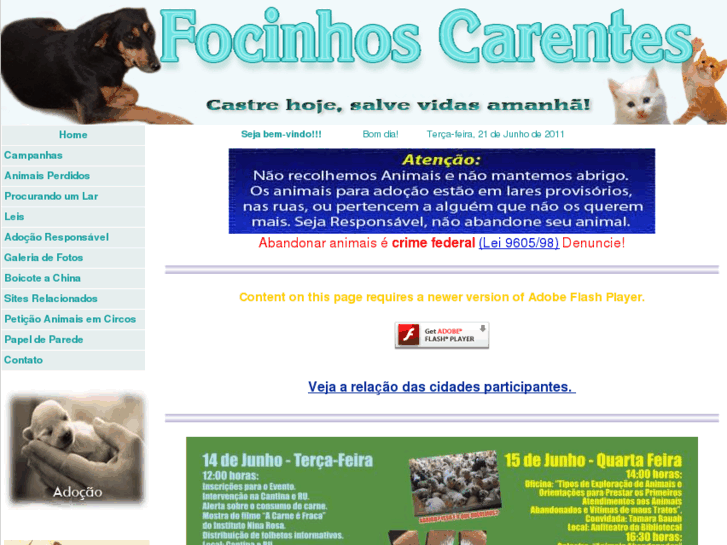 www.focinhoscarentes.org