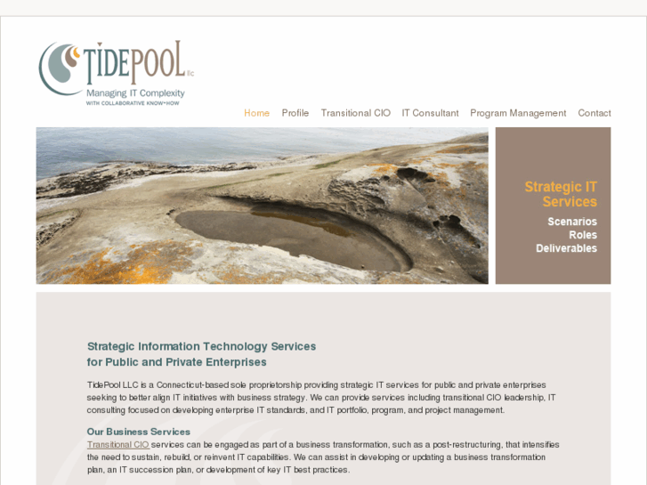 www.tidepool-itconsulting.com