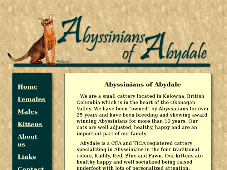 www.abydale.com