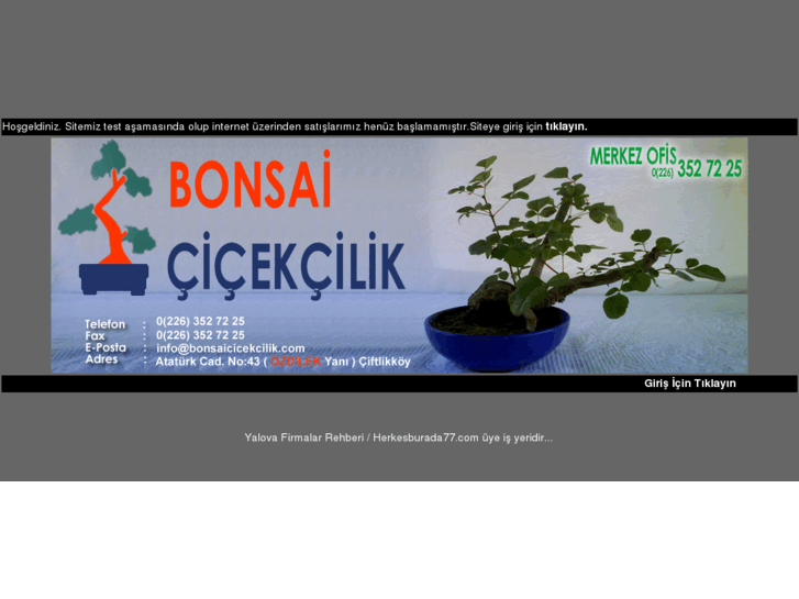 www.bonsaicicekcilik.com