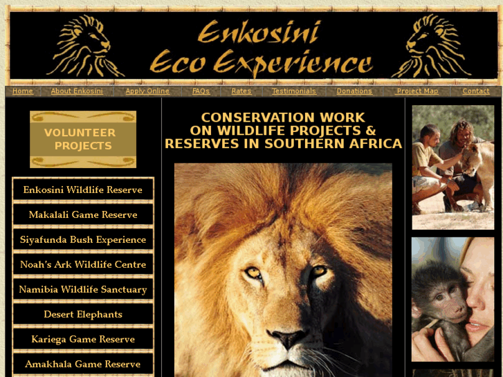 www.enkosini.com