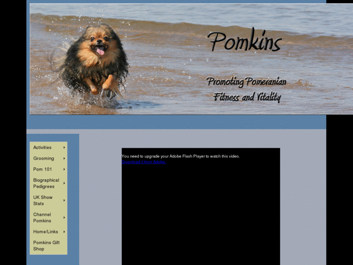 www.pomkins.com