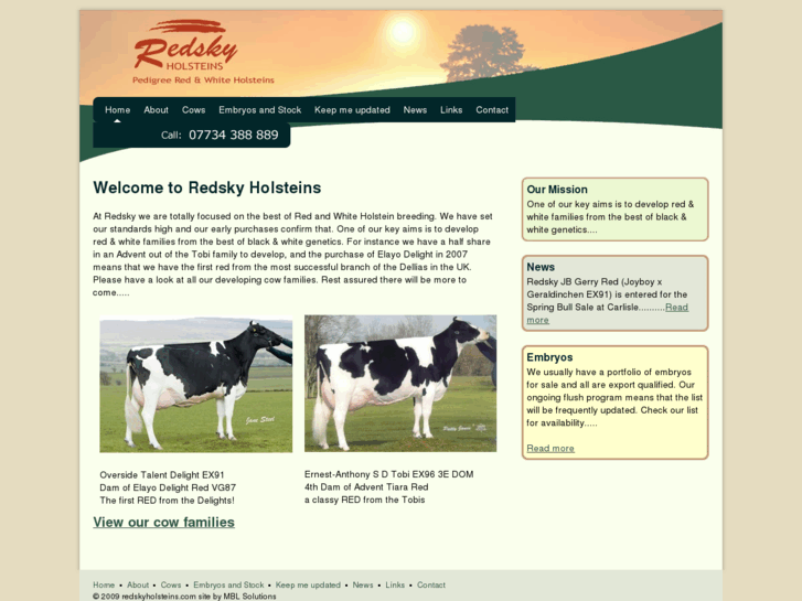 www.redandwhiteholsteins.com