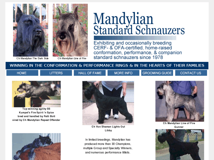 www.standardschnauzers.com