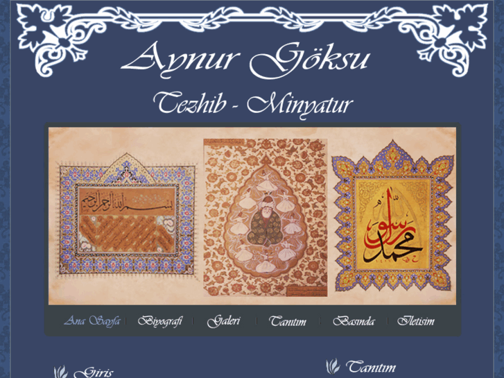 www.aynurgoksu.com