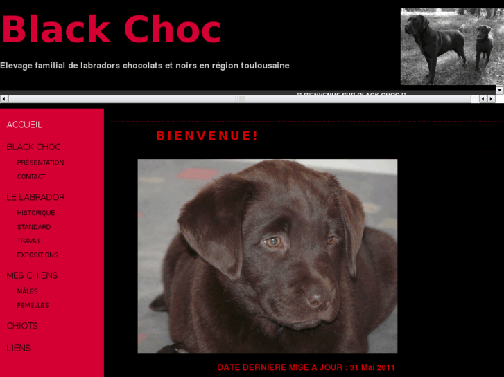 www.black-choc.com