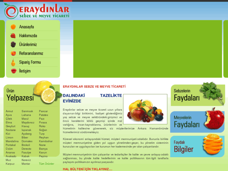 www.eraydinlar.com