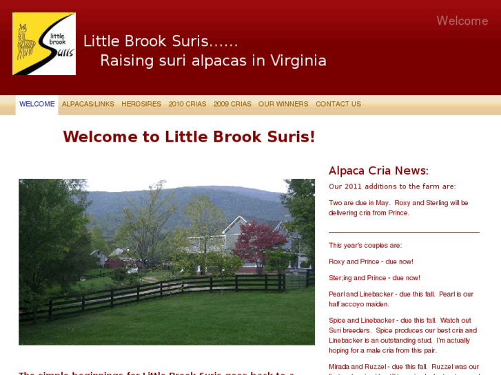 www.littlebrooksuris.com