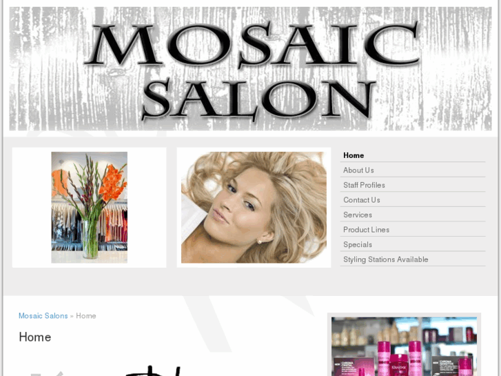 www.mosaicsalonslv.com