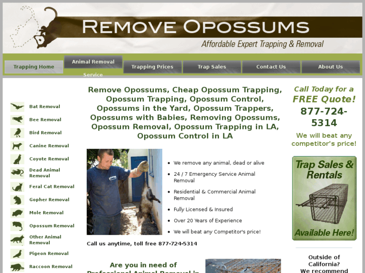 www.removeoppossums.com