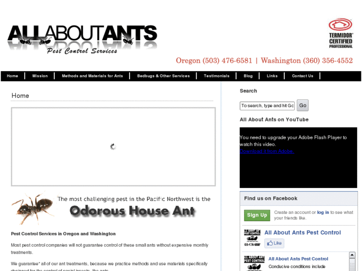 www.allaboutants.net