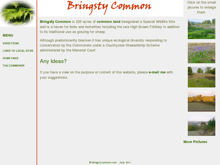 www.bringstycommon.com