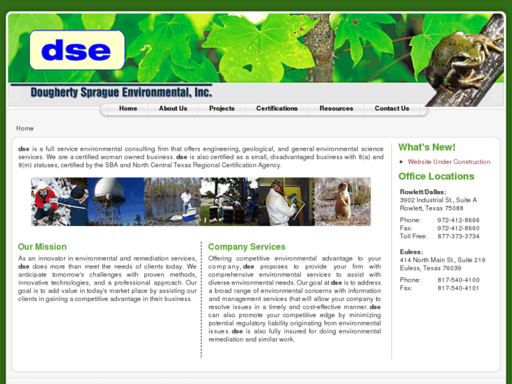 www.dsei.com