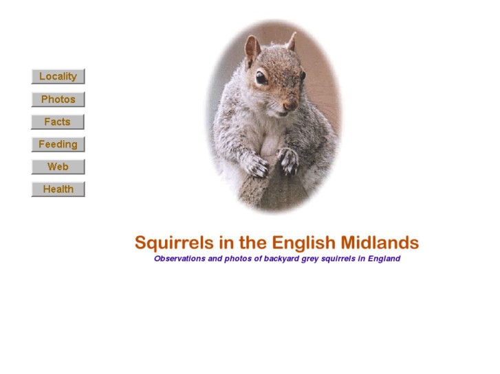 www.greysquirrel.org