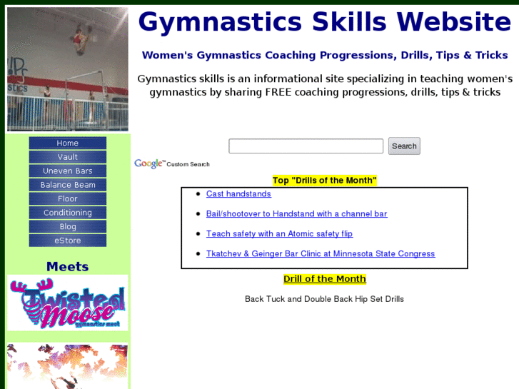 www.gymnastics-skills.com