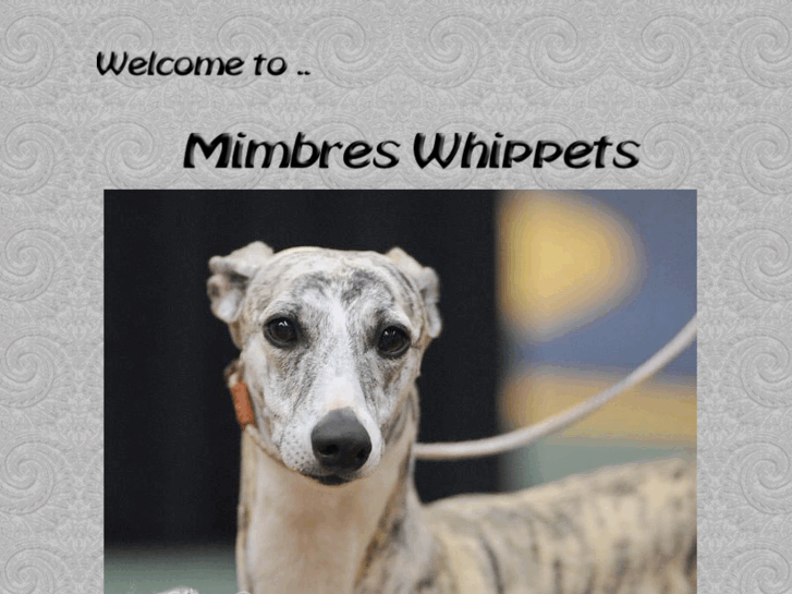 www.mimbreswhippets.com