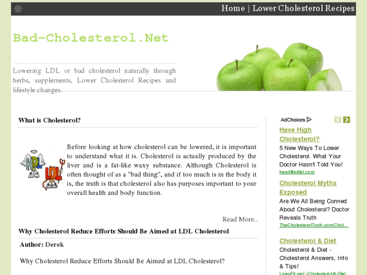 www.bad-cholesterol.net