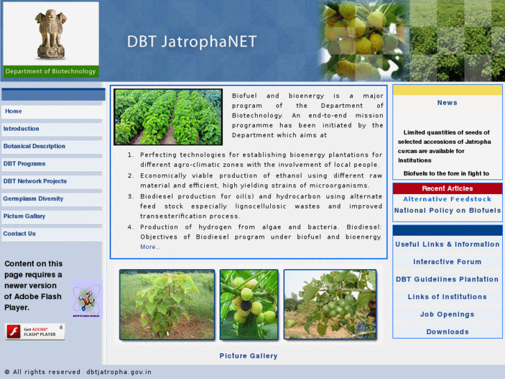 www.dbtjatropha.info