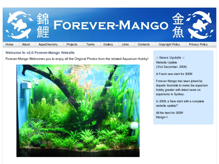 www.forever-mango.com