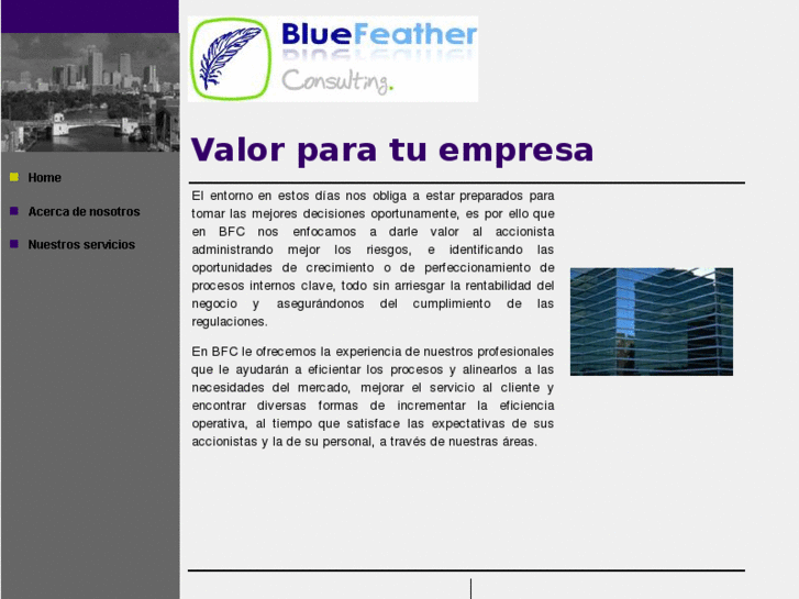 www.bluefeatherconsulting.com