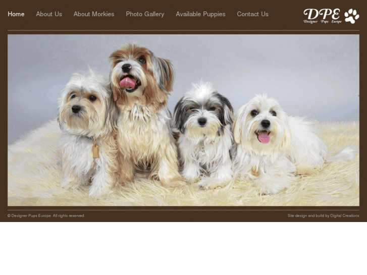 www.designerpupseurope.com