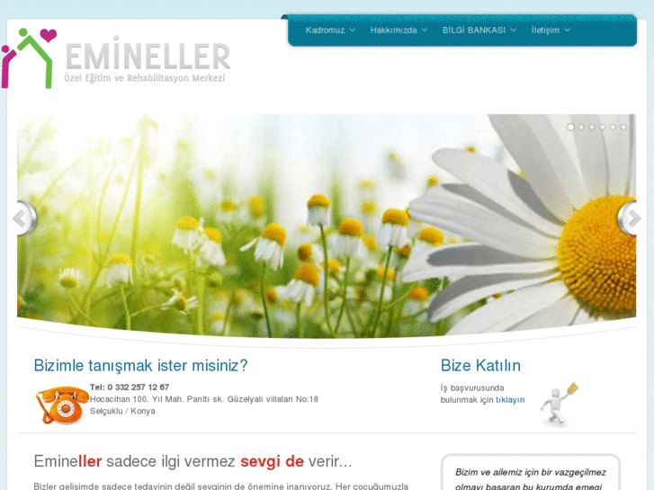 www.emineller.org