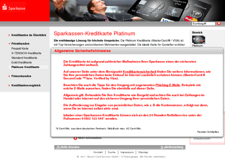 www.s-platinum.de