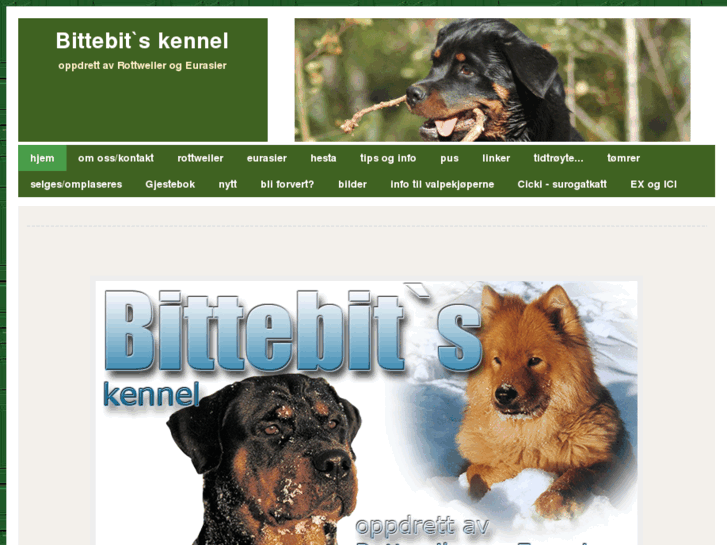 www.bittebits.com