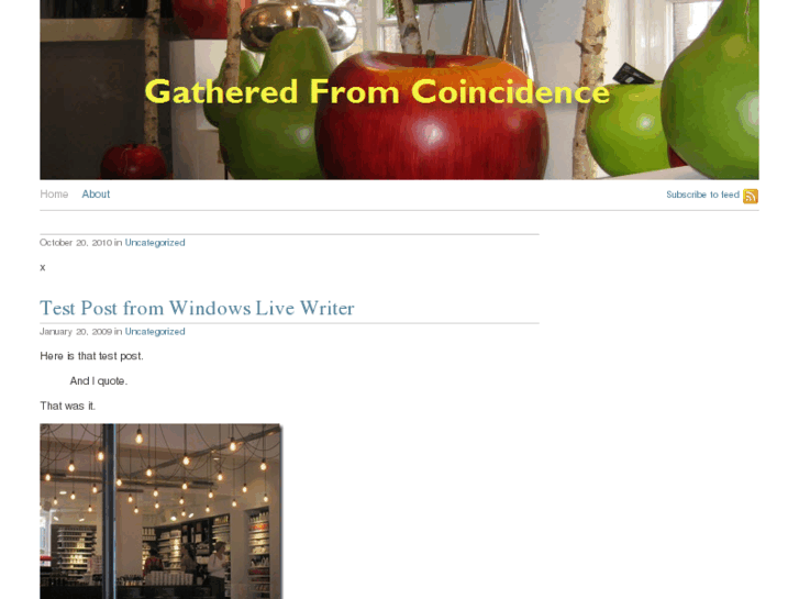 www.gatheredfromcoincidence.com