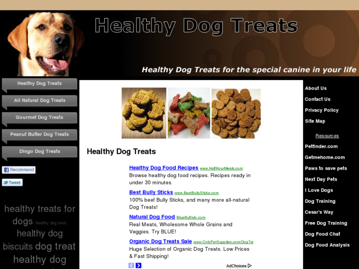 www.healthydogtreats.org