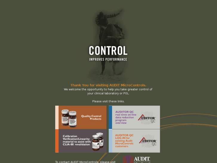 www.incontrolbyaudit.com