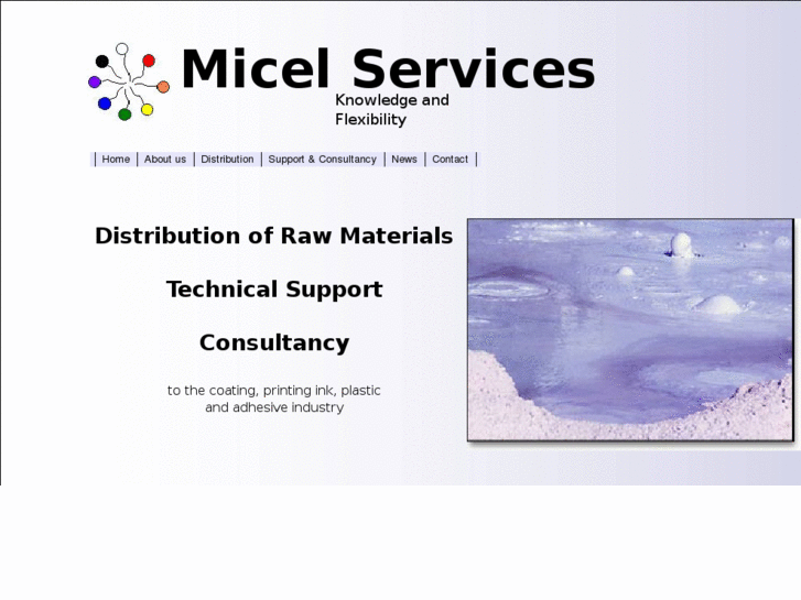 www.micelservices.com