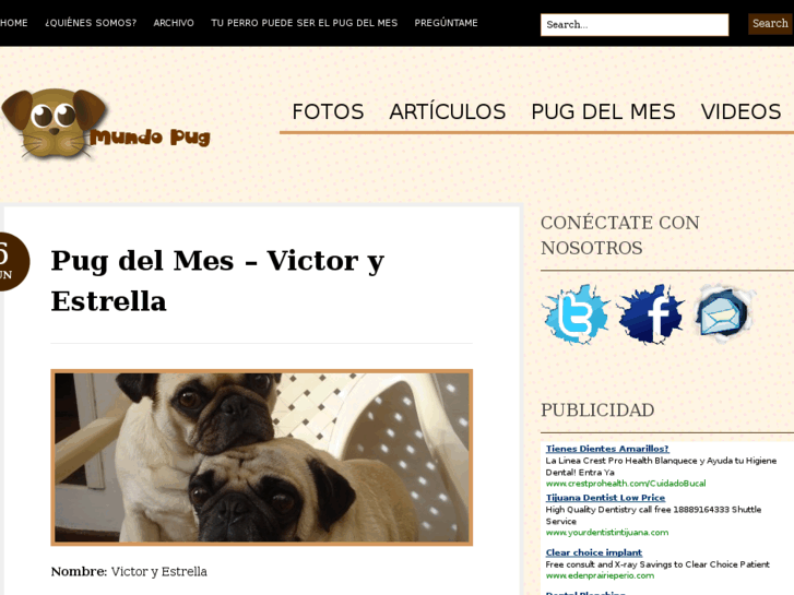 www.mundopug.com