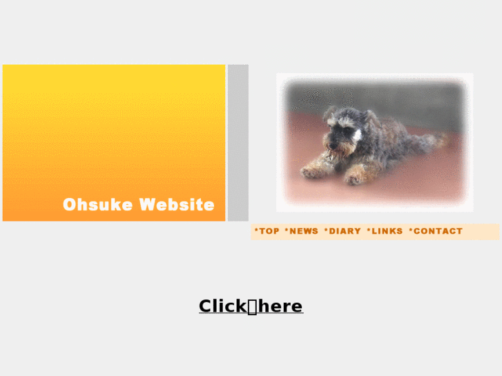 www.ohsuke.com