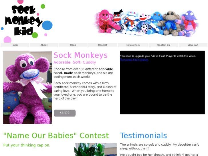 www.sockmonkeykid.com