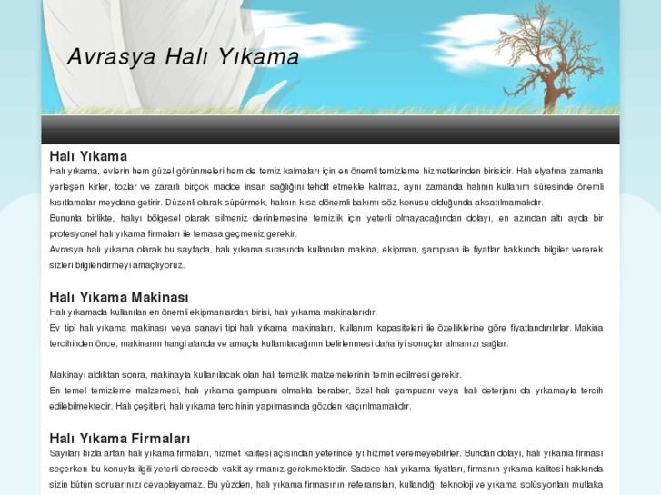 www.avrasyahaliyikama.com