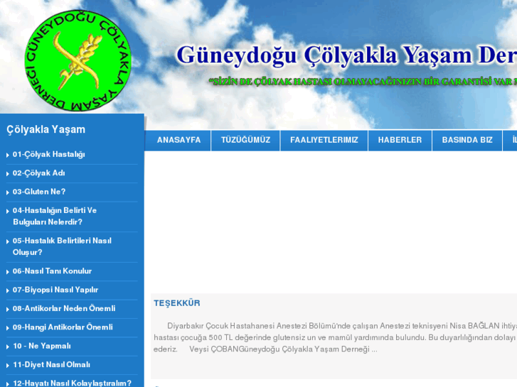 www.colyakhastaligi.com