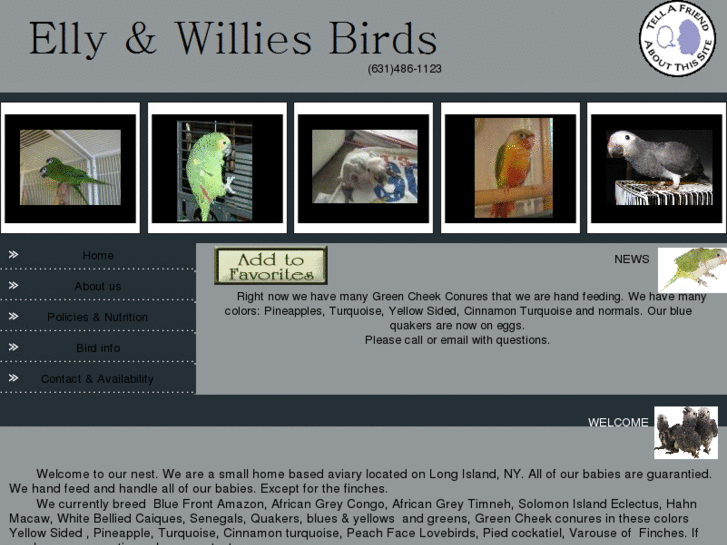 www.ellynwilliesbirds.com