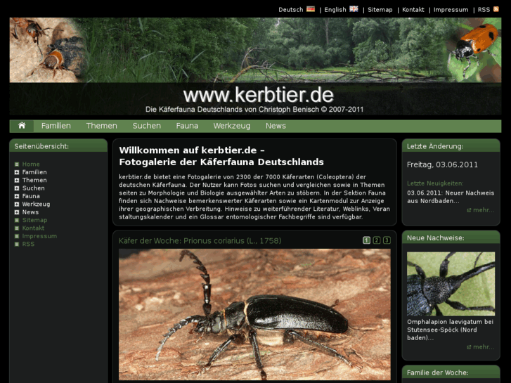 www.kerbtier.de