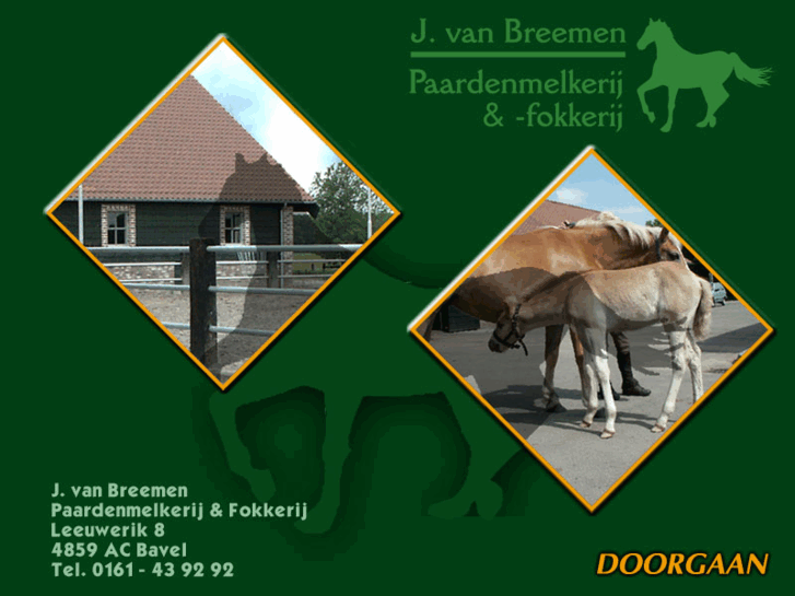 www.paardenmelkerij.com