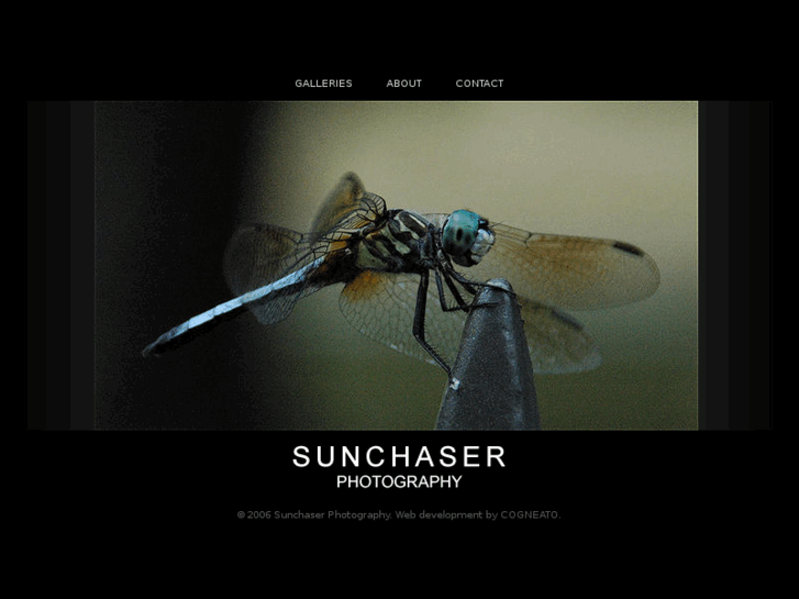 www.sunchaserphotography.com