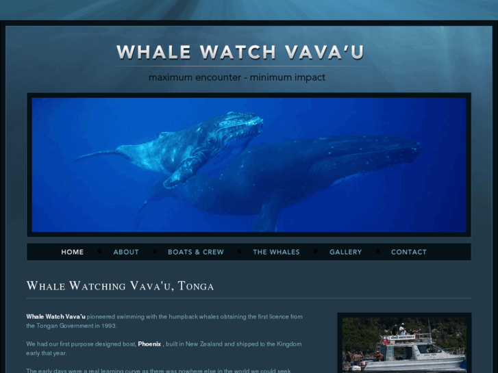 www.whalewatchvavau.com