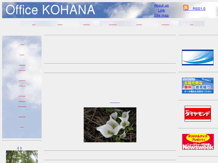 www.office-kohana.com