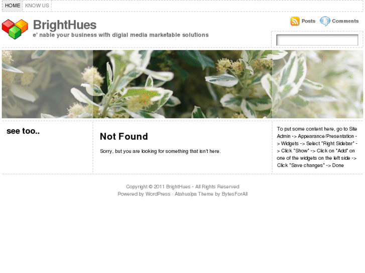 www.brighthues.com