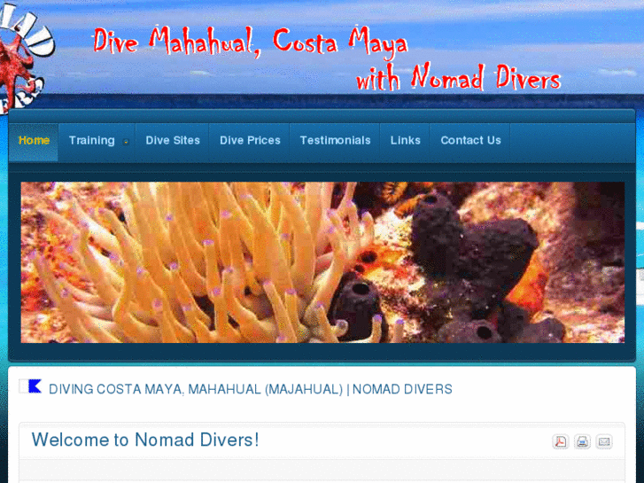 www.diving-costa-maya.com