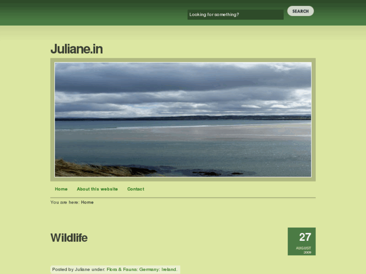 www.julianenoack.com