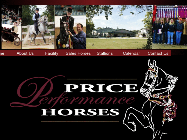 www.priceperformancehorses.com