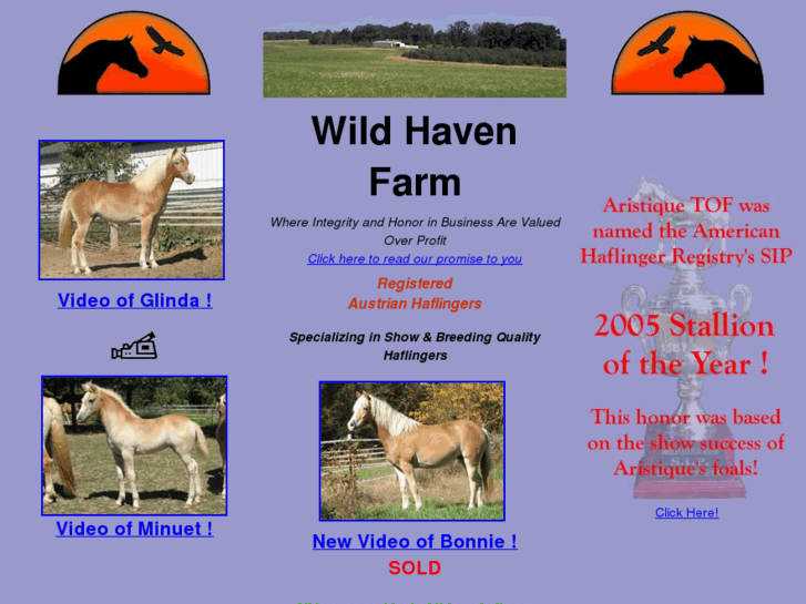 www.wildhavenfarm.com